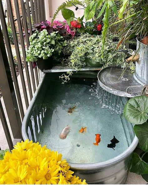 diy-stock-tank-pond-for-indoor Indoor Pond, Fish Pond Gardens, Goldfish Pond, Indoor Water Garden, Diy Pond, Aquarium Design, Pond Design, Have Inspiration, Fish Ponds