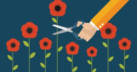 Root Out ‘Tall Poppy Syndrome’ – It Could Save Your Company - Insperity Tall Poppy Syndrome, Mentor Program, Employee Development, Employee Morale, Talent Development, Education Policy, Succession Planning, Writing Crafts, Goals And Objectives