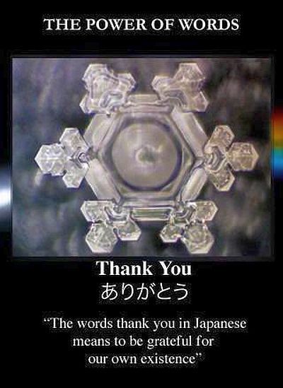 Masaru Emoto Water, Hidden Messages In Water, Thank You In Japanese, Nature Geometry, Masaru Emoto, Water Experiments, The Power Of Words, Power Of Words, Hidden Messages