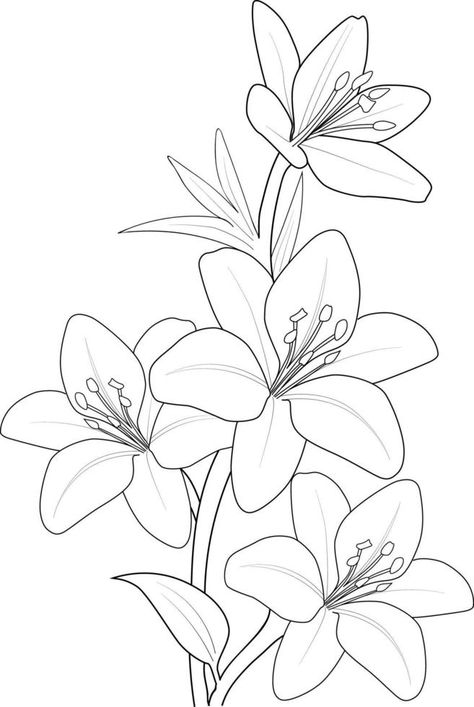 Flower Bouquet Drawing, Black And White Outline, Leaves Sketch, Lilies Drawing, Botanical Line Drawing, Fabric Painting Techniques, Flower Line Drawings, Illustration Botanique, Vector Sketch