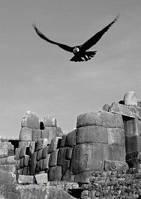 Fortaleza Sacsayhuamán y cóndor volando: Cuzco - Perú. Art Moderne, Mount Rushmore, Art Nouveau, Natural Landmarks, Architecture, Art, Fortaleza