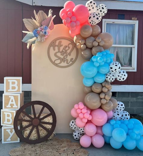 Bows Gender Reveal, Boots Or Bows Balloon Arch, 2024 Gender Reveal Ideas, Country Theme Gender Reveal Ideas, Cowboy Vs Cowgirl Gender Reveal, Bulls Or Barrels Gender Reveal, Gender Reveal Ideas For Party Theme Boots Or Bows, Boots Or Bows Gender Reveal Ideas, Cowboy And Cowgirl Gender Reveal Party