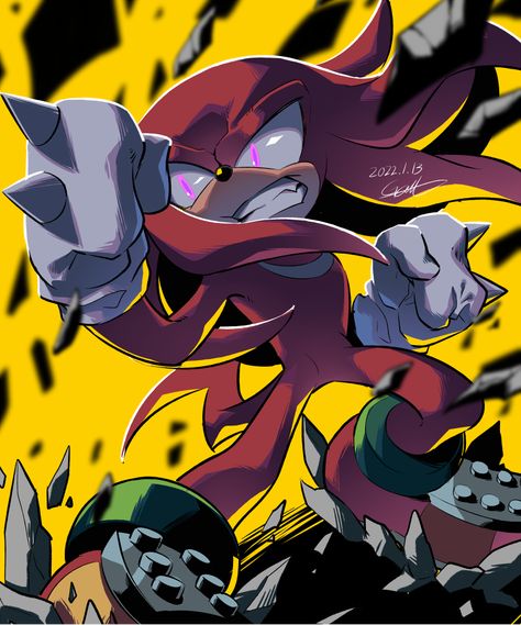 Shadow Sonic, Sonic & Knuckles, Sonic Characters, Sonic Fan Characters, Blue Hedgehog, Sonic Franchise, Sonic Adventure, Hedgehog Art, Sonic And Shadow