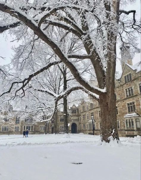 Law Quad Ann Arbor, Michigan Law School, U Of Michigan, Michigan College Aesthetic, U Michigan Aesthetic, Ann Arbor Michigan Aesthetic, University Of Michigan Aesthetic, Umich Aesthetic, U Michigan