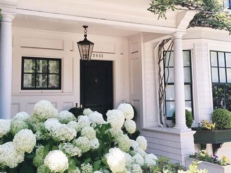 TOWN&COUNTRY on Twitter: "Match your hydrangeas to your house: https://t.co/z3bEOczHNP https://t.co/teKH8fGg3o" Hydrangea Landscaping, Hydrangea Garden, Modern Farmhouse Exterior, Farmhouse Exterior, Climbing Roses, White Gardens, Front Garden, Dream Garden, Design Layout