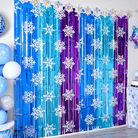 Winter Photo Booth, Frozen Theme Party Decorations, Snowflake Birthday Party, Frozen Birthday Party Decorations, Frozen Decorations, Frozen Party Decorations, Fringe Curtains, Princess Birthday Party Decorations, Streamer Backdrop