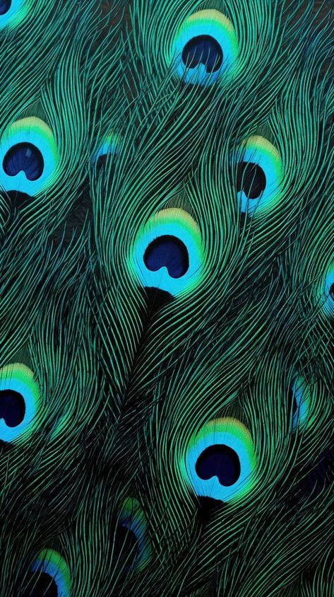 Pride Iphone Wallpaper, Peacock Feathers Wallpaper, Wallpaper Peacock, Feather Background, Feathers Pattern, Peacock Wallpaper, Peacock Pictures, Printed Scarves, Feather Wallpaper