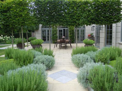 Landscape Architect Visit: A Refined Kitchen Garden and Outdoor Dining Room by Richard Miers: Gardenista Evergreen Herbs, Formal Garden Design, Grasses Landscaping, Formal Garden, Front Landscaping, Formal Gardens, Mediterranean Garden, Gorgeous Gardens, Courtyard Garden