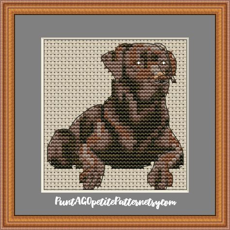 Black labrador mini cross stitch pdf pattern by PuntAGOpetitePattern on Etsy Chocolate Labrador Retriever, White Symbol, Chocolate Labrador, Mini Cross Stitch, Mini Cross, Crochet Tapestry, Black Labrador, Dmc Thread, Alpha Patterns