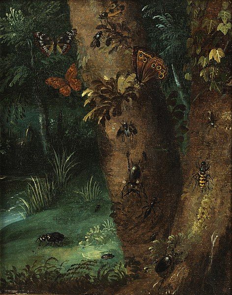 Forest Floor Painting, Floor Aesthetic, Green Academia, Floor Painting, Moon Moth, Arthur Rackham, Forest Floor, Painted Floors, Green Aesthetic