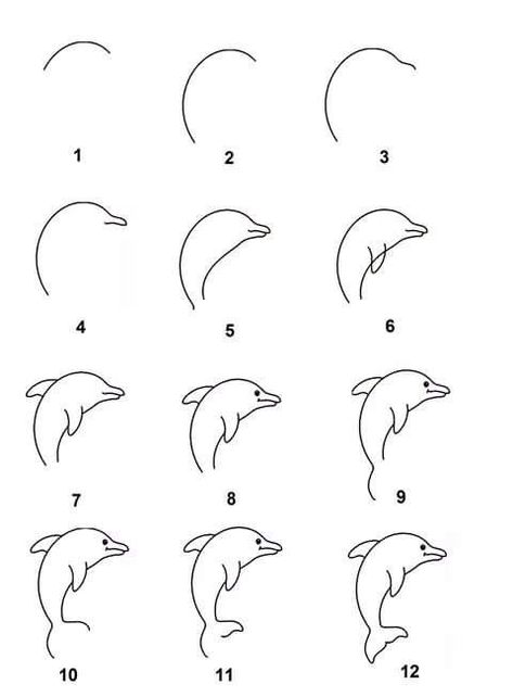 Easy how to draw a dolphin! Best Chalk Markers set http://www.amazon.com/dp/B0187DKT6Q Draw A Dolphin, Small Easy Drawings, Dolphin Drawing, Simple Flower Drawing, Dolphin Painting, Dolphin Art, Easy Drawing Steps, Easy Drawings For Beginners, Cat Tattoos