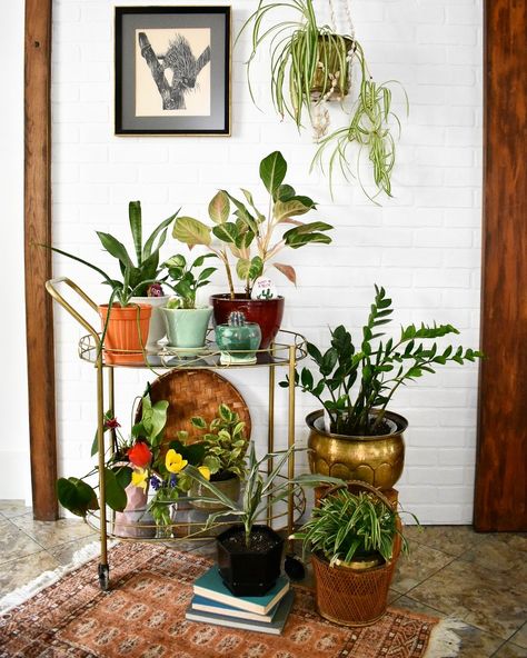 Plant Buffet Table, Alternative Uses For Bar Carts, Creative Bar Cart Ideas, Bar Cart For Plants, Bar Cart Plants, Plant Bar Cart, Bar Cart With Plants, Alternative Bar Cart Ideas, Bar Cart Plant Stand