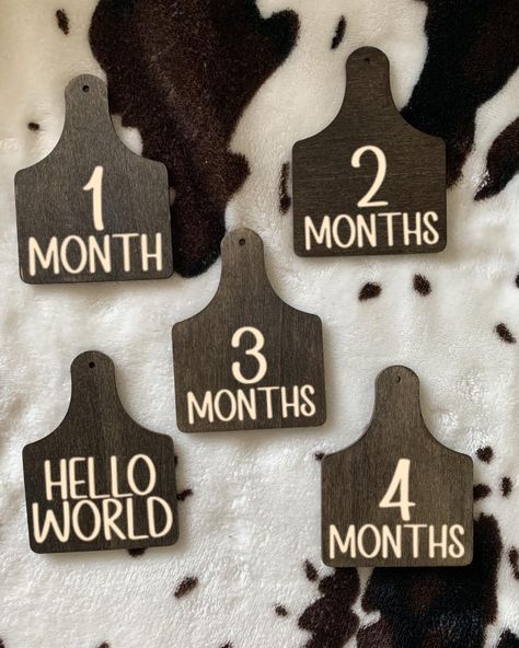 Baby Milestone Cow Tags 🎉 Offered in 3 fonts and your choice of 4 colors options. Make your baby’s milestones memorable with these perfect photo additions! Birth through 12 months old. Range can be customized to your liking! Message me or visit my website to order ✨ #custom #Smallbusiness #crafting #RolenOutWest #supportsmallbusiness #supportingadream #babymilestone #milestonephotos #cowtagmilestone #cowtag #rustic #western #memories #barnyard #woodencowtag #babypictures #milestonemarkers Baby Milestone, Baby Milestones, Baby Pictures, Milestones, My Website, 12 Months, Color Options, Cow, How To Memorize Things