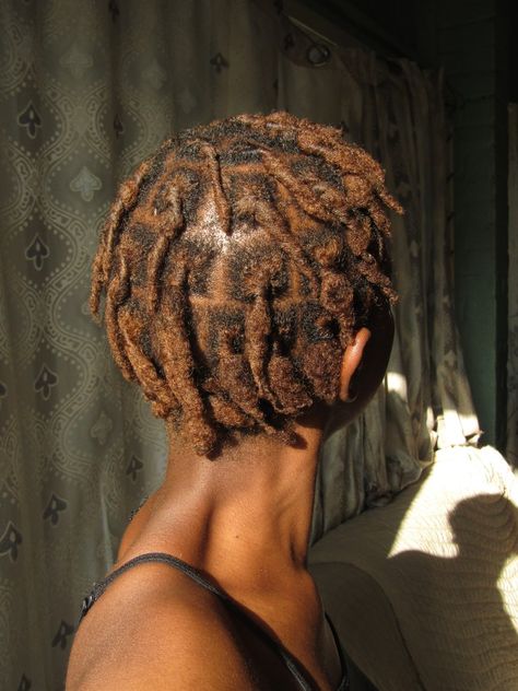 3 months locs #locs #locjourney #blondelocs Locs Hairstyles, Locs, 3 Months, Dreadlocks, Braids, Blonde, Collage, Hair Styles, Hair