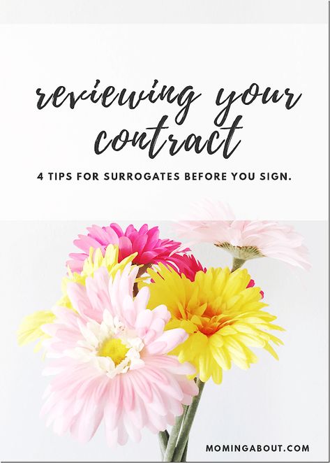 surrogacy legal contracts Being A Surrogate, Gestational Surrogacy, Surrogacy Journey, Gestational Carrier, Fertility Smoothie, Signing Off, Preterm Labor, Sperm Donor, Surrogate Mother