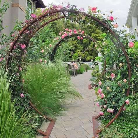 Giant Moon Gate Garden Arch Wallpaper Edgy, Trellis Ideas, Wildlife Garden, Wallpaper Homescreen, Wallpaper Retro, Garden Wallpaper, Modern Garden Design, Garden Pictures, Vegetable Garden Design