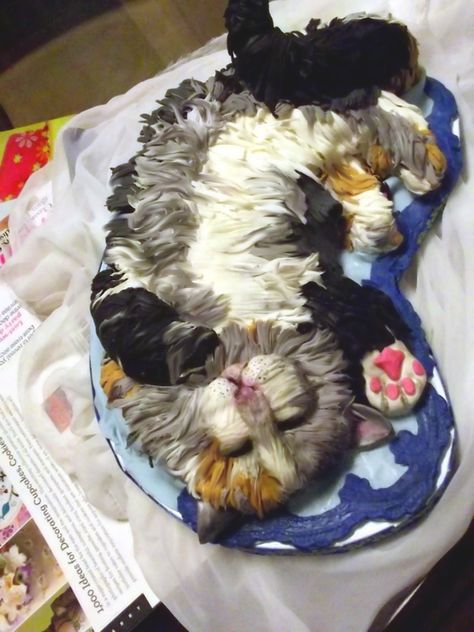 Fondant Hair, Kitten Cake, Extreme Cakes, Sleepy Kitten, Calico Kitten, 3d Cakes, Animal Cakes, Animal Cake, Cat Cake