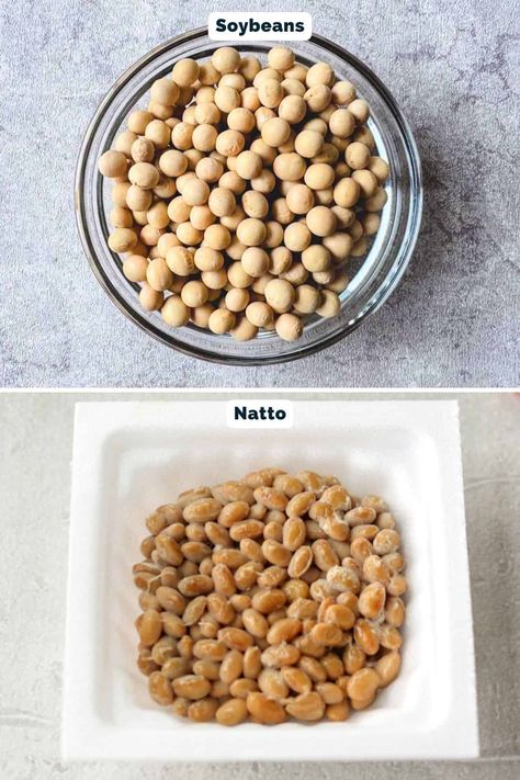 Learn How To Make Natto at home with just soybeans and store-bought natto as a starter. This simple guide covers the steps to create fresh, delicious, and probiotic-rich natto right in your kitchen! Natto Recipe, Japanese Vegetarian Recipes, Japanese Food Traditional, Japanese Grocery, Yogurt Maker, Printable Recipe Cards, Food Printables, Cookbook Recipes, Recipe Using