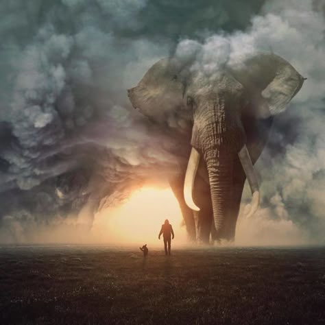 I Imagine A World Invaded By Giant Animals In My Digital Manipulations Elephant Photography, Giant Animals, Elephants Photos, Cesar Millan, Surreal Photos, Elephant Tattoo, Elephant Painting, Awesome Pictures, Elephant Tattoos