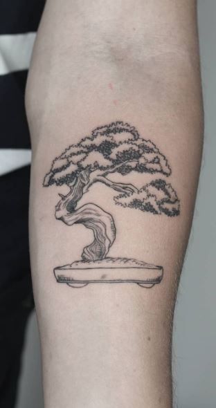 Zen Garden Tattoo, Bonsie Trees Tattoo, Money Tree Tattoo, Traditional Tree Tattoo, Tattoo Ideas For Men Meaningful, Bonsai Tree Tattoo, Dead Tree Tattoo, Enso Tattoo, Bonsai Tattoo