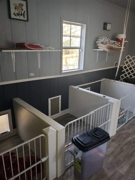 I’m Home Dog Boarding, Indoor Kennels For Dogs, Dog Kennel Inside, Dog Bunk Beds, Dog Room Design, Dog Boarding Ideas, Animal Shelter Design, Kennel Ideas Outdoor, Pet Daycare