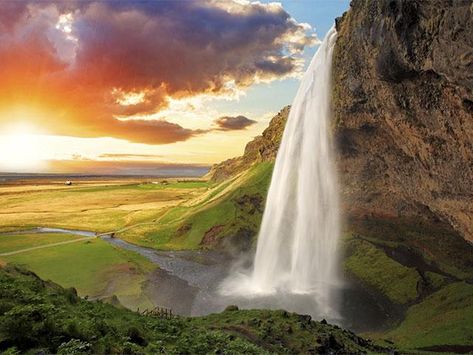 | Iceland Seljalandsfoss, Waterfall Iceland, Seljalandsfoss Waterfall, Iceland Travel Guide, South Iceland, Visit Iceland, Water Falls, Iceland Travel, Beautiful Waterfalls