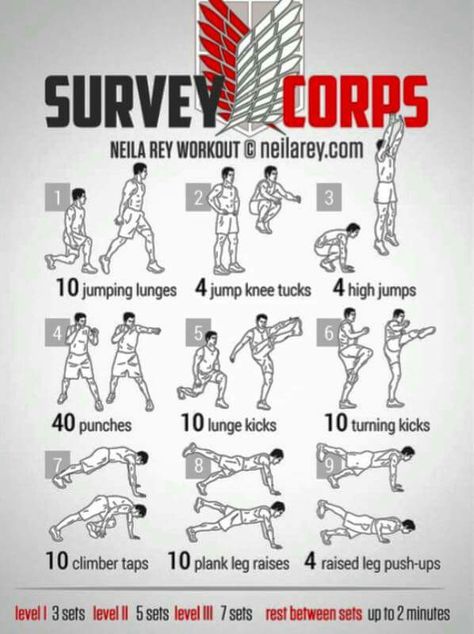 Well Nerdy Workout, Memes About Work, Neila Rey Workout, Superhero Workout, Survey Corps, Workout Without Gym, Abs Workout Routines, Gym Memes, Weight Workout Plan