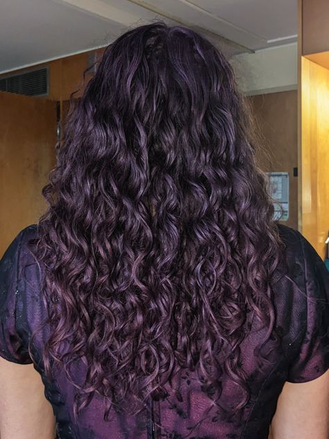 purple curly hair Dark Purple Hair Curly, Purple Highlights Curly Hair, Violet Curly Hair, Dark Purple Curly Hair, Purple Hair Curly, Dark Purple Hair Dye, Plum Purple Hair, Purple Curly Hair, Curly Purple Hair