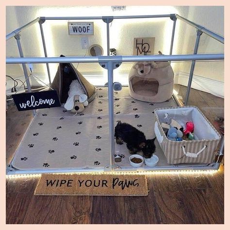 [SponsoredPost] Lucidium Modern Dog Pen Medium 48W X 48D Or | Etsy #largedogbedroomideas Aesthetic Dog Room, Dog Play Pen Indoor, Dog Bedroom Ideas, Dog Room Design, Pet Enclosures, Puppy Essentials, Dog Playpen Indoor, Dog Closet, Dog Room Decor