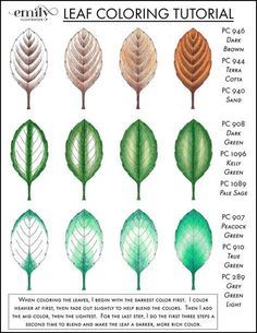 A cute little leaf coloring tutorual Hur Man Ritar Blommor, Colouring Tips, Pencil Coloring, Tutorial Coloring, Blending Colored Pencils, Colored Pencil Tutorial, Pencil Drawing Ideas, Drawing Programs, Pencil Drawing Tutorials