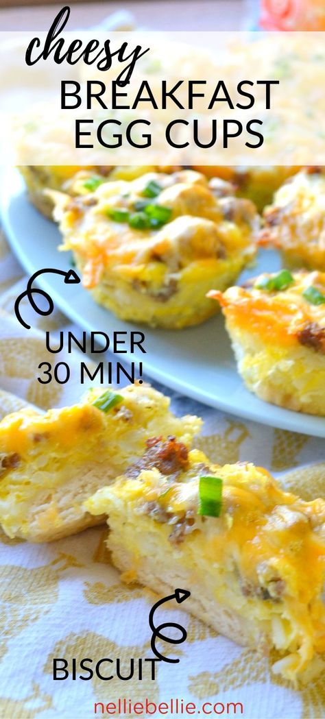 Muffin Tin Recipes Breakfast, Breakfast Egg Cups, Muffin Tin Breakfast, Egg Bake Casserole, Egg Cups Recipe, Egg Muffin Cups, Breakfast Casserole With Biscuits, Eggs In Muffin Tin, Biscuit Cups