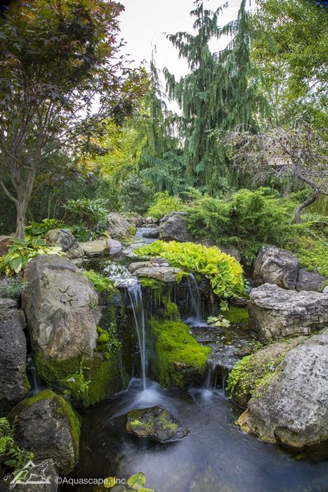 Taman Air, Garden Waterfall, Pond Waterfall, Waterfall Landscape, Pond Landscaping, Backyard Water Feature, Waterfalls Backyard, Pond Design, Small Waterfall