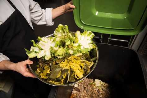 Even more restaurants, chains and other food service establishments will have to compost under a new city proposal intended to cut down organic waste. Food Waste Management, City Proposal, Composters, Food Wastage, Trash Disposal, Organic Waste, Service Kitchen, Kitchen Installation, Kitchen Waste