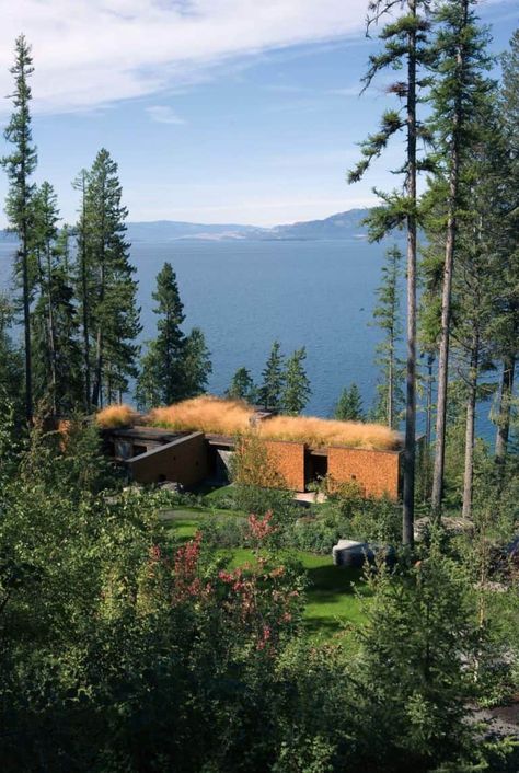 Magnificent rustic cabin hideaway on the rocky shores of Flathead Lake Montana Cabin, Montana Landscape, Grass Roof, Wilderness Retreat, Wood Facade, Stone Creek, Flathead Lake, Rocky Shore, Gate House