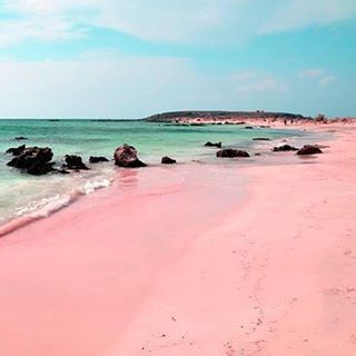 Pink sand on Ellafonisi Beach, Crete, Greece. Pink sand is formed of tiny red organisms that grow on dead coral reefs and pieces of shells which fall to the ocean floor and are washed onto shore. Beach Foto, Pink Sand Beach, Romantic Travel Destinations, Harbour Island, Pink Beach, Destination Voyage, Komodo, Pink Sand, Romantic Travel