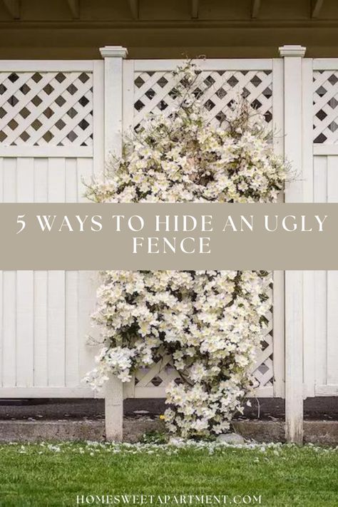 Fence with plant growing on it Plants To Hide Fence, Decorate Privacy Fence, How To Hide An Ugly Fence, Hide Ugly Fence, Ugly Fence Cover Up, Fence Covering Ideas, How To Make Fence, Concrete Fence Wall, Greg House