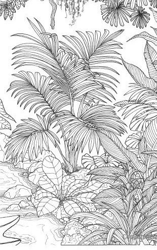 Jungle Line Art, Jungle Plants Drawing, Tropical Art Print, Illustration For Kids, Jungle Illustration, Tropical Painting, Landscape Tattoo, Wall Murals Painted, Art Painting Gallery