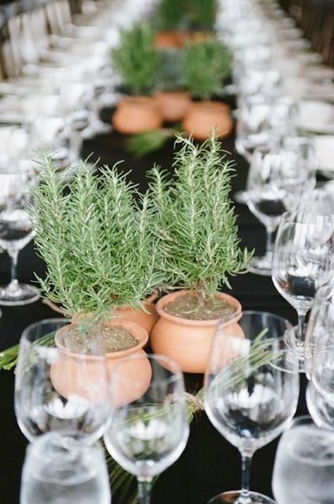 rosemary wedding centerpieces / http://www.himisspuff.com/potted-plants-wedding-decor-ideas/8/ Tattoos Plants, Rosemary Wedding, Herb Centerpieces, Plants Tattoo, Potting Plants, Plant Tattoos, Plant Centerpieces, Pots Plants, Tattoo Plant