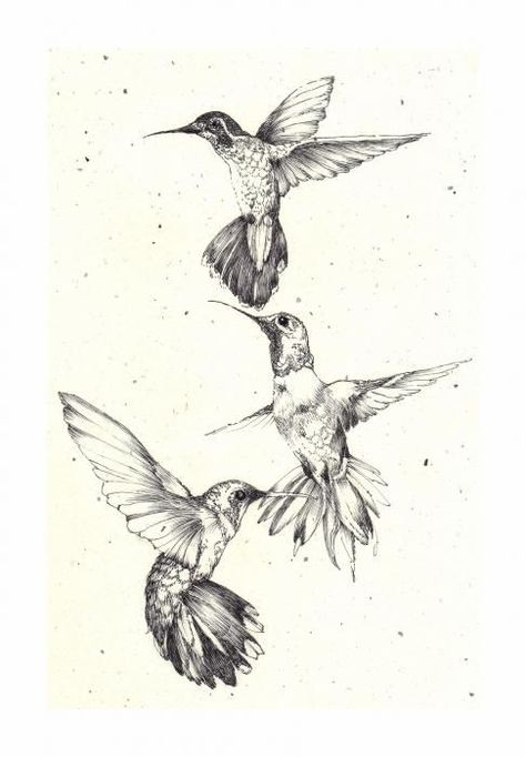 Hummingbird Drawings, Hummingbird Drawing, Flor Tattoo, Bird Tattoo Meaning, Vogel Tattoo, Petit Tattoo, Bird Sketch, Hummingbird Art, Hummingbird Tattoo