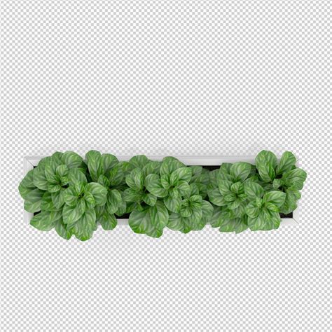 Isometric plant 3d rendering 2d Plants Top View, Plant Top View Photoshop, Plant Top View Png, Garden Top View, Plant Top View, Interior Plant Design, Bed Top View, Photoshop Landscape, Tree Photoshop