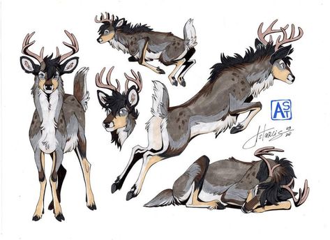 Deer Drawing, Deer Illustration, Deer Art, Photoshop Cc, Fantasy Creatures Art, Wow Art, Mythical Creatures Art, Creature Concept Art, Animal Sketches