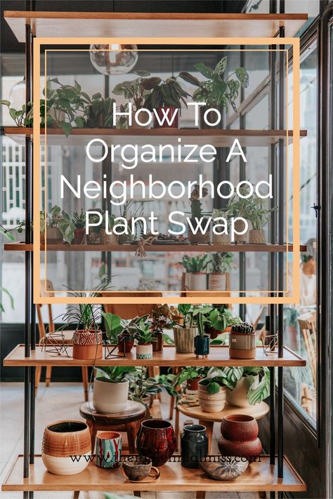 You’ve probably heard of book swaps but have you been to a plant swap before? Neighborhood activities, Community garden, social distance, social distancing activities Plant Swap, Neighborhood Activities, Book Swap, Plant Care Instructions, Community Garden, Social Distance, A Penny, Community Gardening, How To Organize