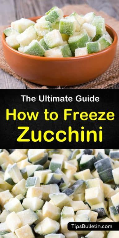 Freezing Produce, How To Freeze Zucchini, Freezing Squash, Zucchini Health Benefits, Freezing Zucchini, Freezing Vegetables, Vegeterian Recipes, Zucchini Squash, Cucumber Recipes