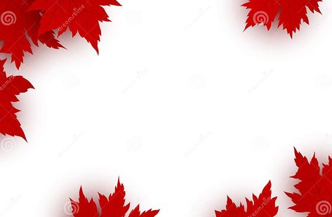 Canada Day Background Design of Red Maple Leaves Stock Vector - Illustration of banner, maple: 113434011 About Canada, Space Vector, Red Day, Day Background, Red Maple, Canada Day, Maple Leaves, Editorial Illustration, Blog Photo