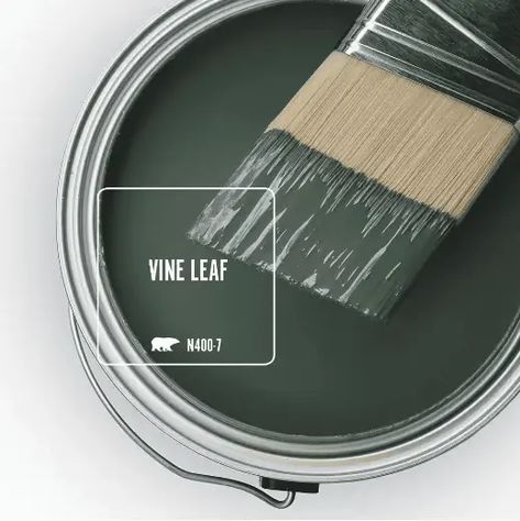 Going green? If you are looking for the best green paint colors for your home, you will love these options by BEHR Paint. These shades run the gamut from soft and tranquil to bright and bold! Behr Hostaleaf, Green Paint Magnolia Home, Behr Paint Colors Greens, Behr Olive Green Paint, Best Boho Green Paint Colors, Vine Leaf Behr Paint Bedroom, Behr Cottage Colors, Master Bedrooms Behr Paint, Behr Earthy Green Paint Colors