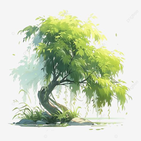 willow tree spring illustration willow spring green png Vector Tree Illustration, Fantasy Willow Tree, Willow Tree Illustration, Willow Illustration, Willow Tree Drawing, Willow Tree Art, Green Png, Green Illustration, Spring Illustration