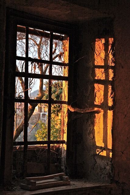 Jendela Vintage, An Open Window, Looking Out The Window, Beautiful Windows, Window Light, Window View, Through The Window, Open Window, Abandoned Places