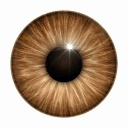 123RF - Millions of Creative Stock Photos, Vectors, Videos and Music Files For Your Inspiration and Projects. Eye Iris, Iris Eye, Eye Texture, Eyeball Art, Eye Illustration, Blurred Background Photography, Brown Eye, Black Background Images, New Background Images