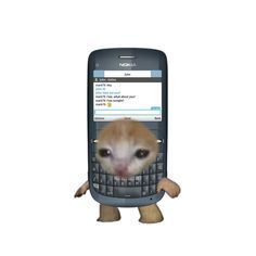 Fruit Furniture, Apple Cat, Banana Cat, Food Cat, Cat Pfp, Silly Cats Pictures, Cat Meme, Cat Icon, Cat Family