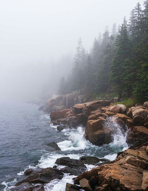 A foggy Maine coastline, Acadia National Park [OC][620 x 800] Maine Nature Photography, Coastline Aesthetic, Maine Nature, Maine Aesthetic, Maine Landscape, Maine Coastline, Acadia Maine, Maine Photography, Maine Trip